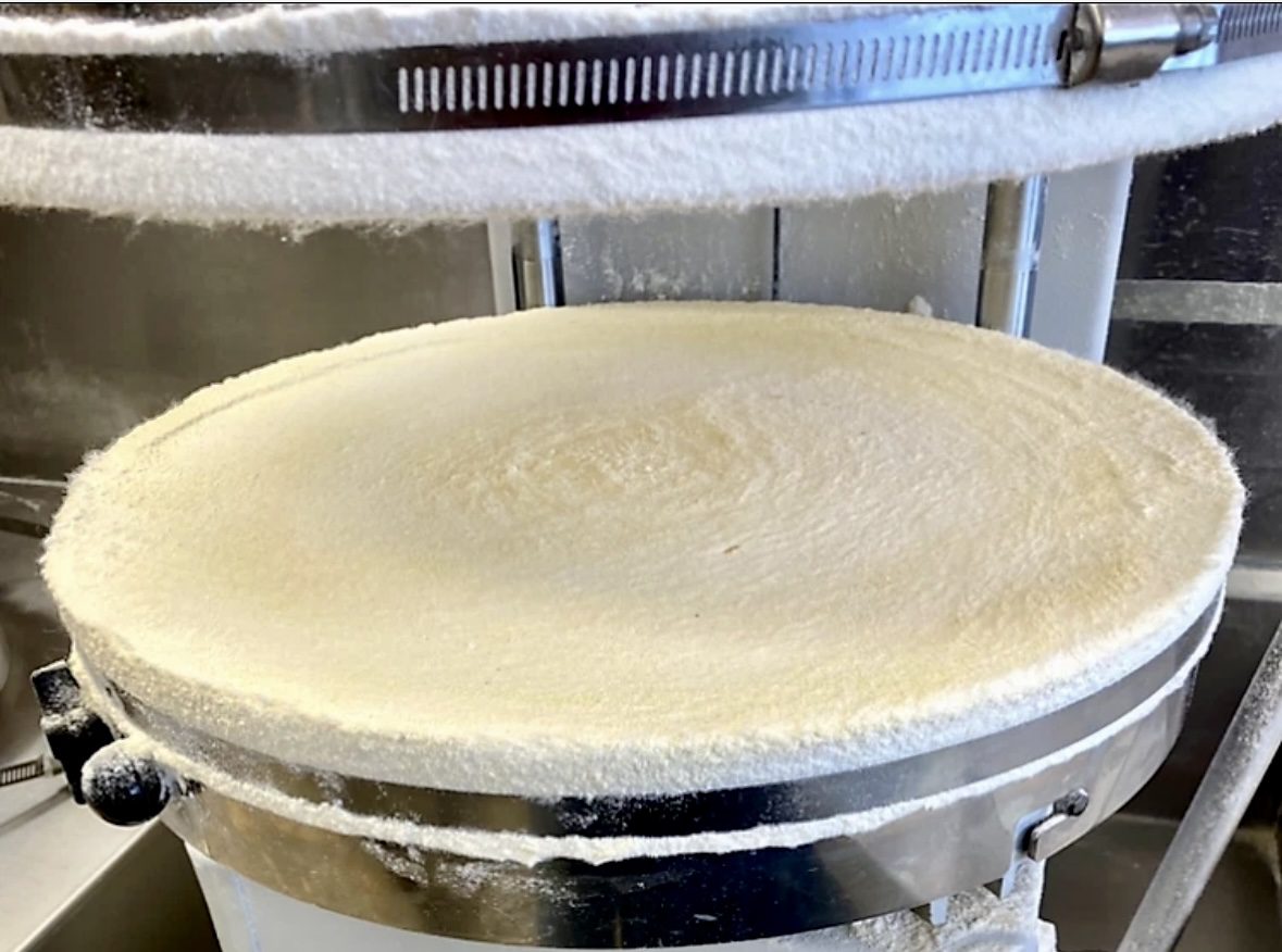 A large flat round cake being cooked on a hot griddle.